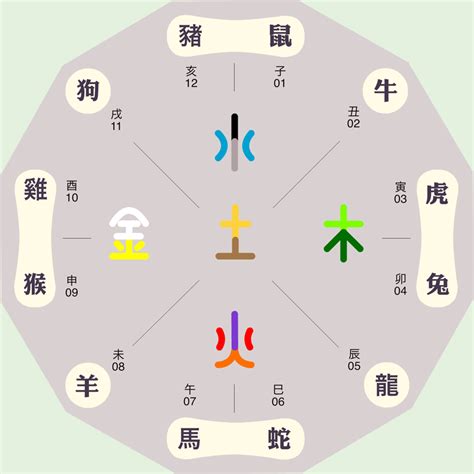 12地支 五行